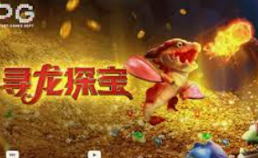 赏金国际vip登录入口2024最新版