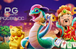 赏金国际vip登录入口电脑免费版